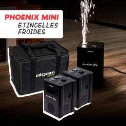 LOCATION PHOENIX MINI
